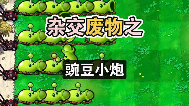 废物大战僵尸