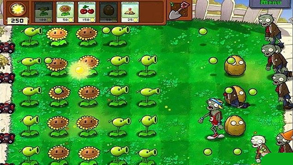植物大战僵尸2010年度版