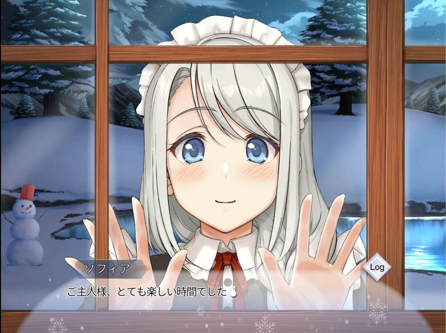 我与索菲亚的秘密