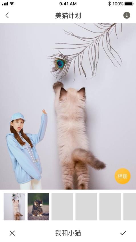 云养猫app
