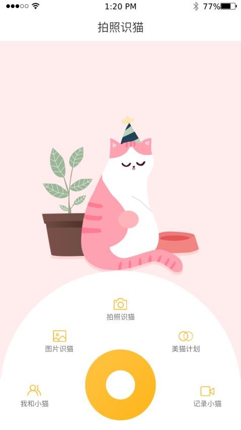 云养猫app