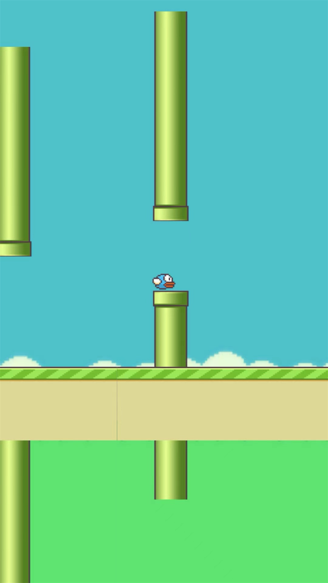 笨鸟努努游戏安卓版