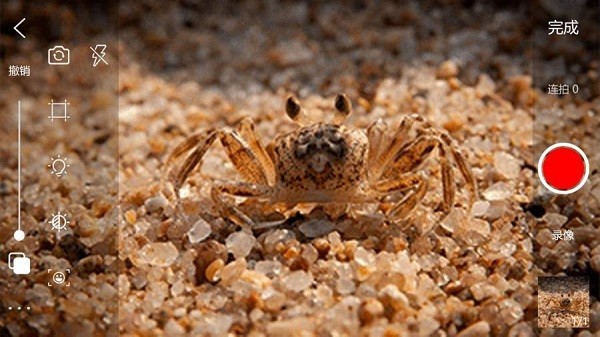 frame advance逐帧播放