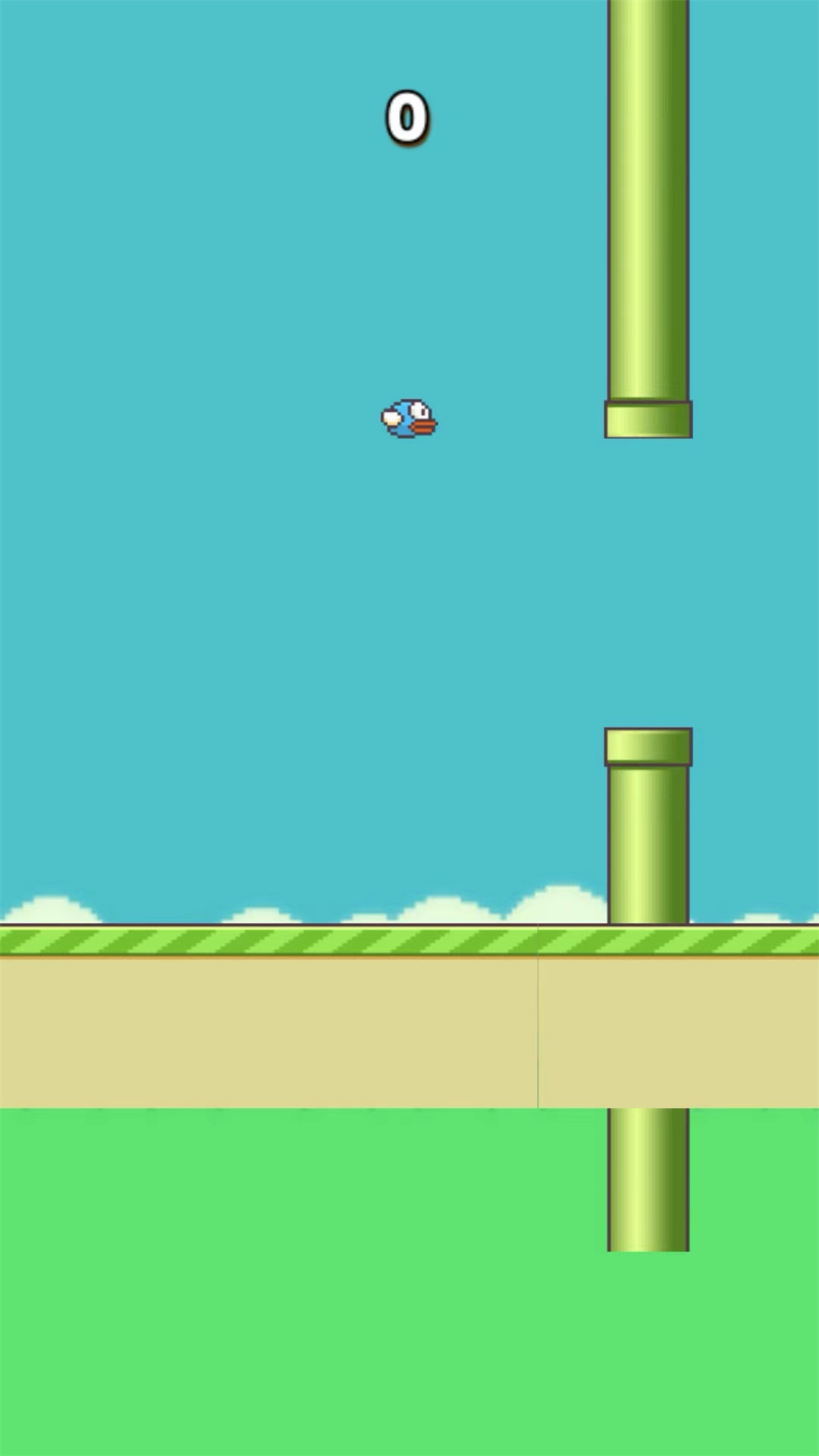 笨鸟努努游戏安卓版