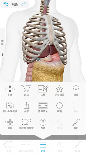 人体解剖学图谱(Atlas)