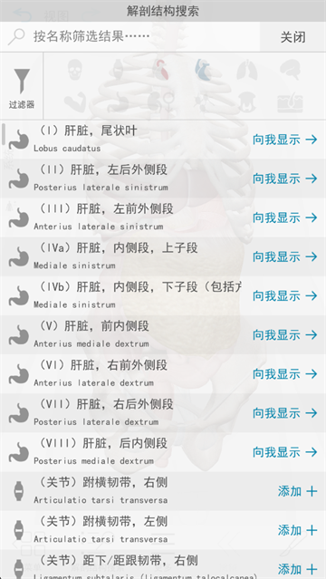 人体解剖学图谱(Atlas)