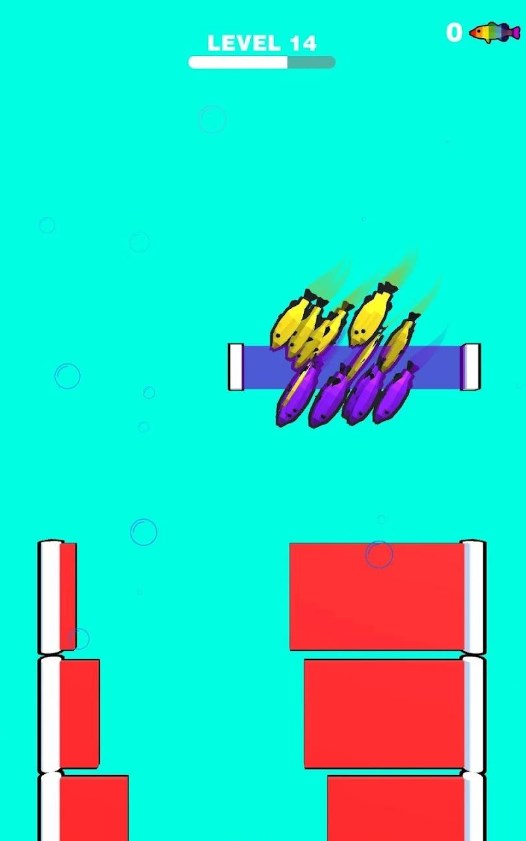 鱼类竞赛游戏安卓版（Fish Race）