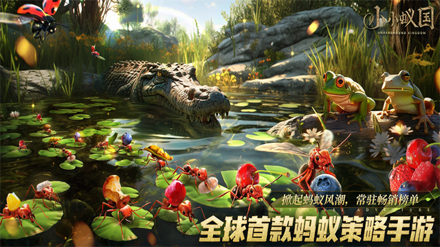 蚂蚁地下王国国际服