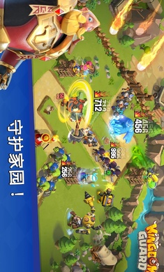 王国卫队国际服