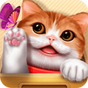 花样猫咪最新版