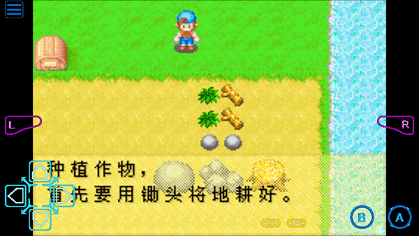 牧场物语矿石镇的伙伴们汉化版