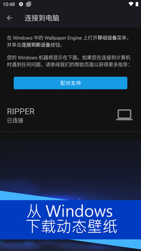 麻匪动态壁纸透视文件