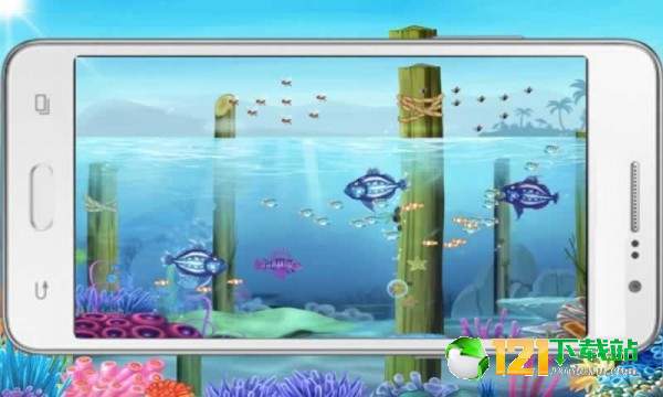 大鱼吃小鱼3D