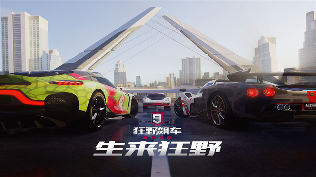 狂野飙车9小米版
