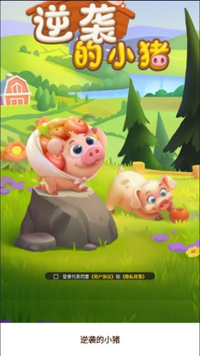 逆袭的小猪