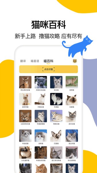 猫语翻译大全软件
