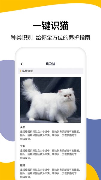 猫语翻译大全软件