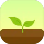 Forest专注森林破解版