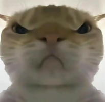 三角洲行动鼠鼠工具手机版