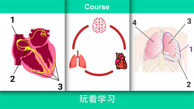 真实医疗模拟器(Reanimation inc)