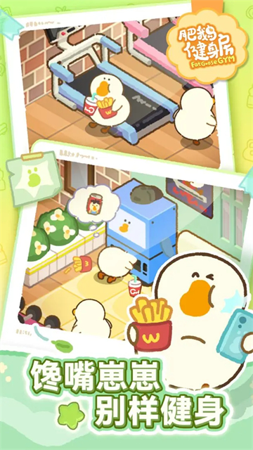 肥鹅健身房国际服