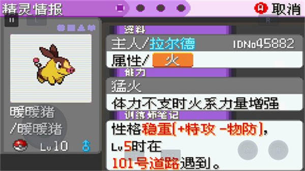 口袋妖怪漆黑的魅影