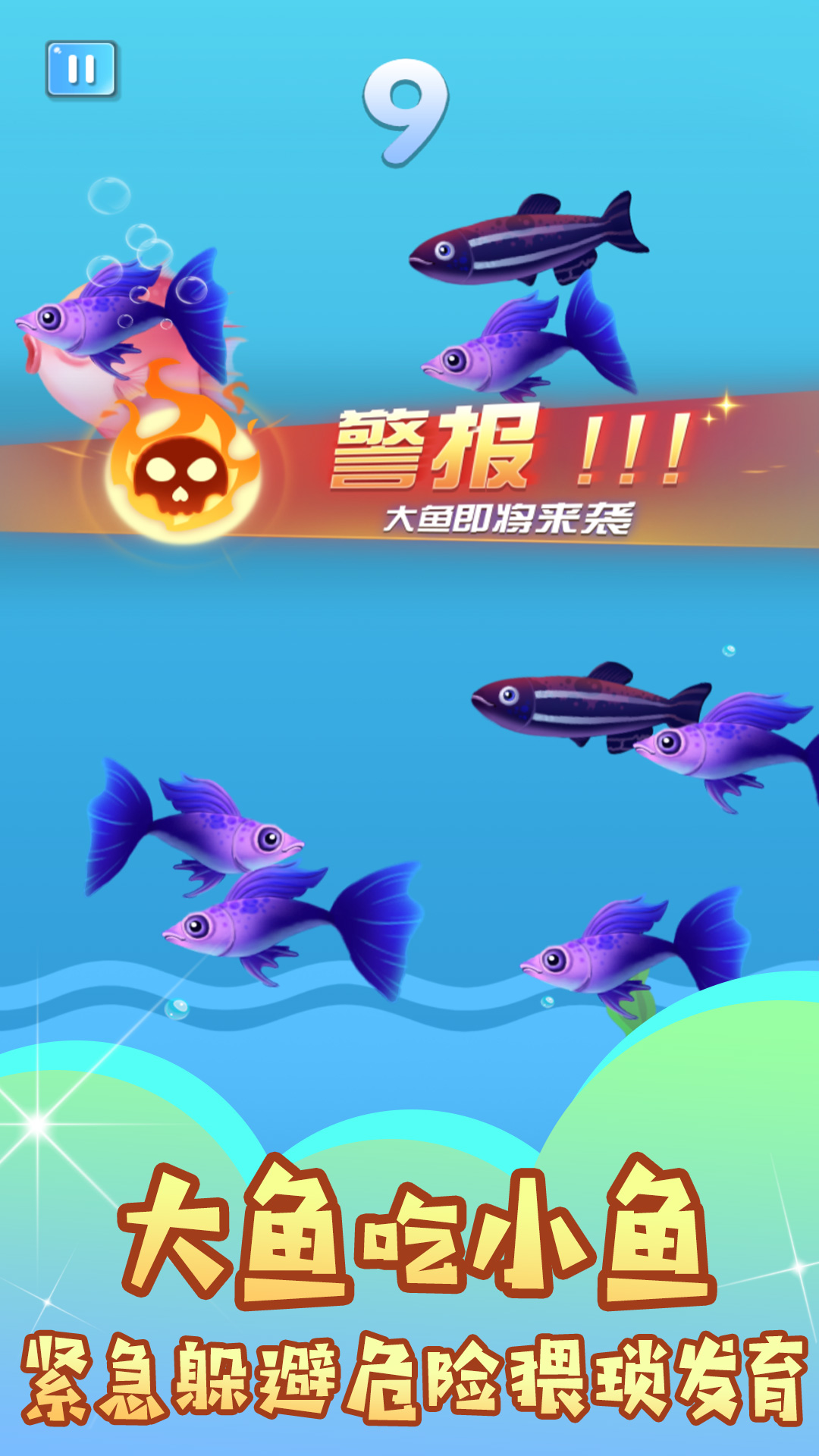 小鱼吃成大鱼游戏手机版