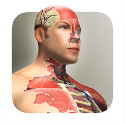 Idle Human游戏安卓汉化版 v1.0