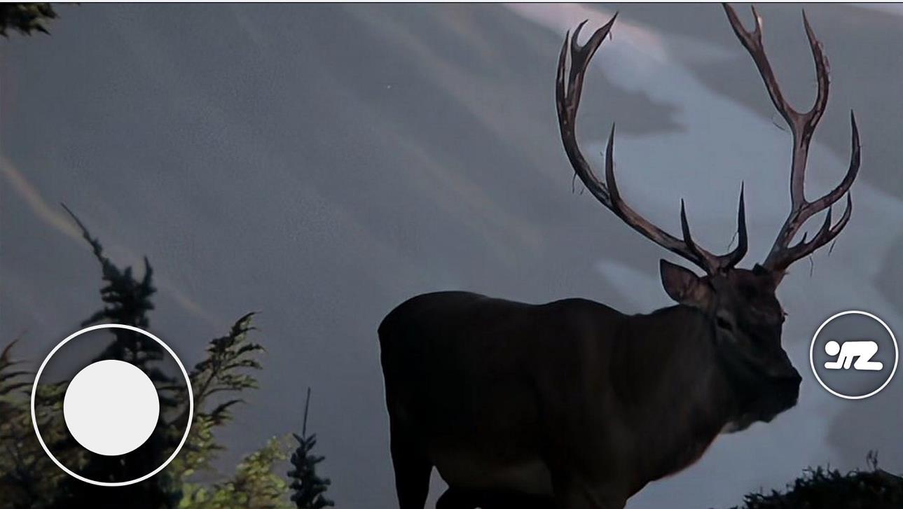 恐怖森林猎人游戏中文手机版