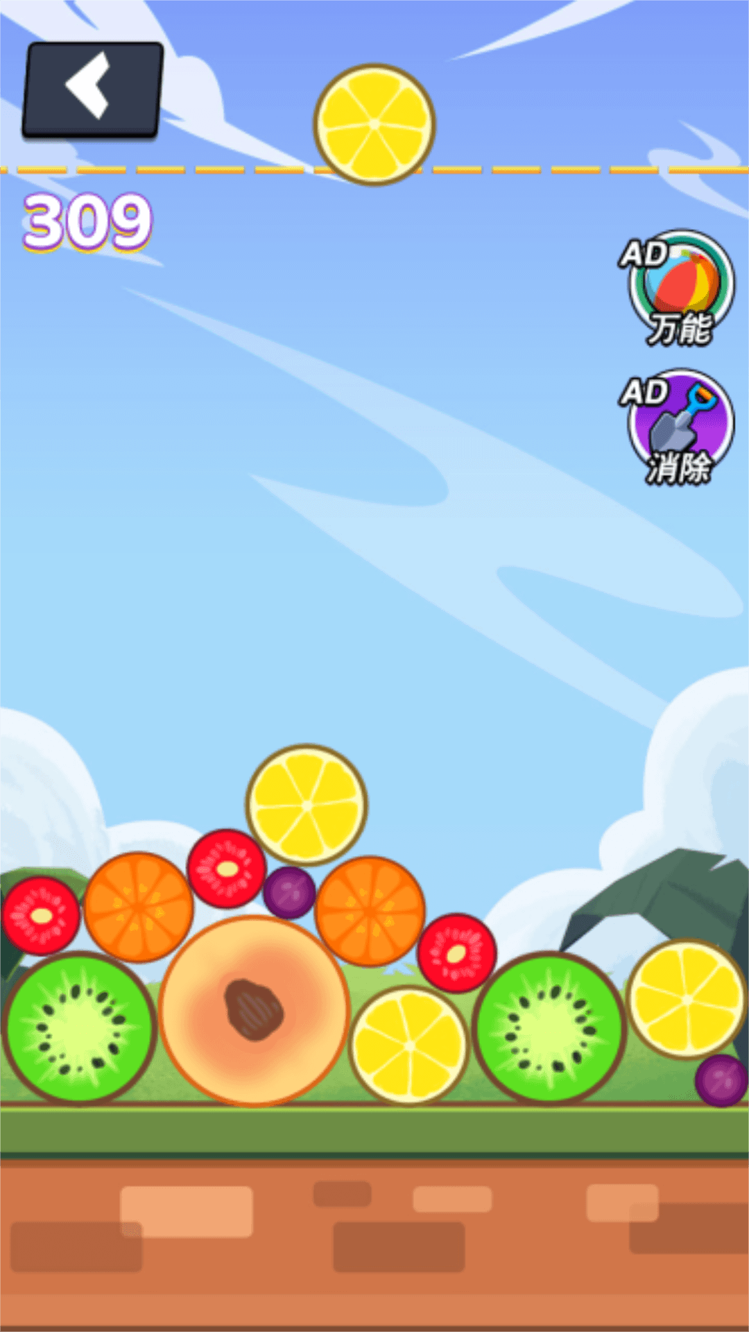 爽快合水果游戏官方版