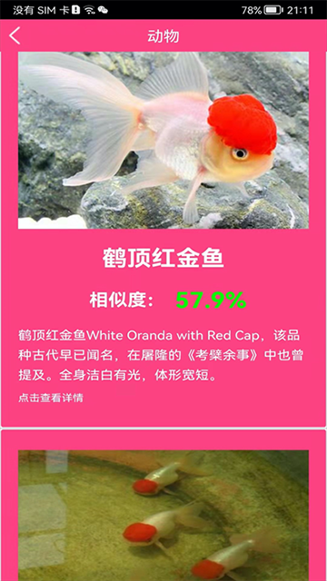 拍照识花神器app