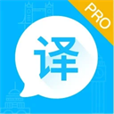 论文翻译助手(英语翻译)