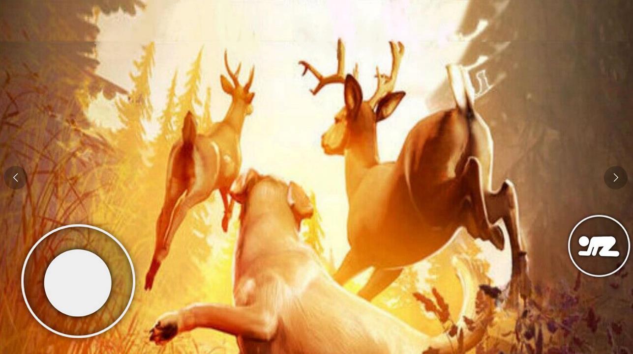 恐怖森林猎人游戏中文手机版