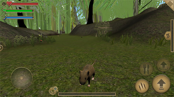真实老鼠生存模拟器游戏安卓版