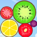 爽快合水果游戏官方版