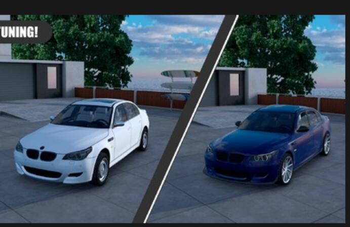 定制俱乐部游戏官方安卓版（Custom Club）