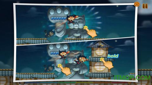 飞天忍者猫(CatNinjaFly)