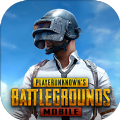 PUBG MOBILE 2.9冰雪国度版本最新下载