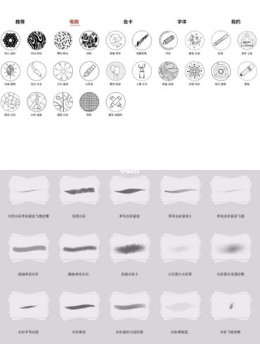 lazyshare官方正版安卓中文版 v1.0