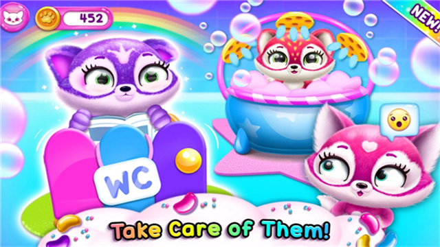 菲露茜斯宠物猫