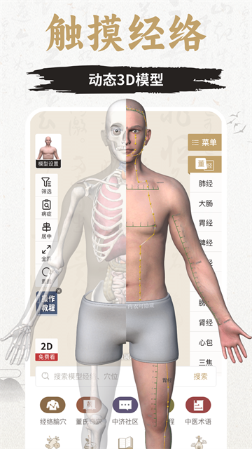 中济经络