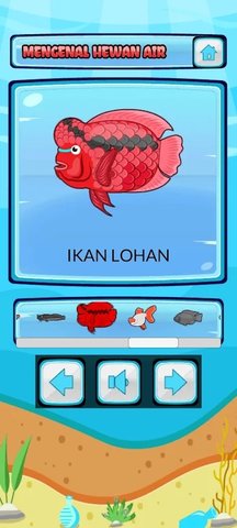 海洋动物教育下载安装安卓版