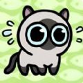 丛林冒险猫游戏安卓手机版