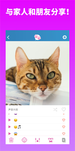 我的宠物会说话