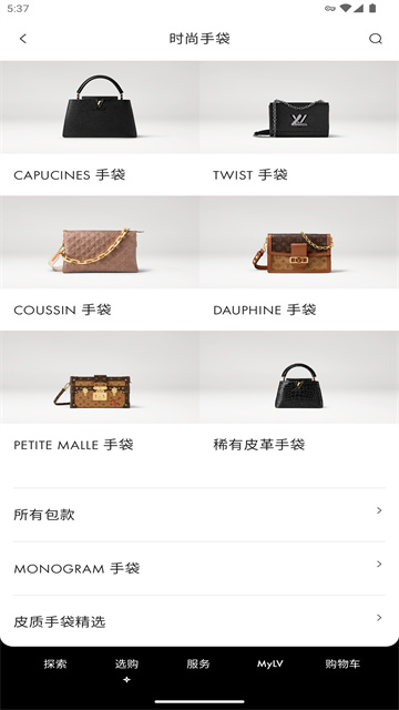louis vuitton