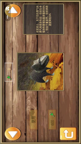 梦幻冒险动物之旅游戏最新版