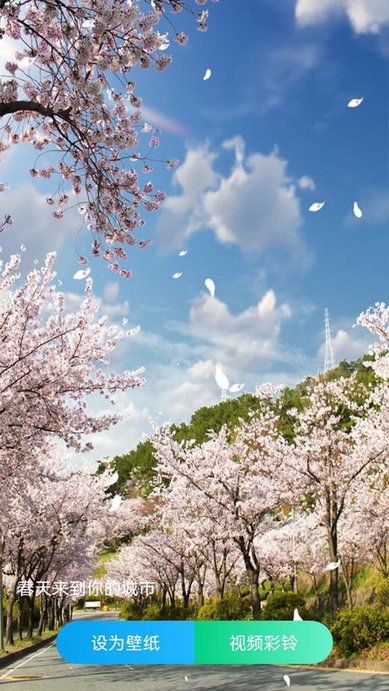 最美铃声(Ringtone)