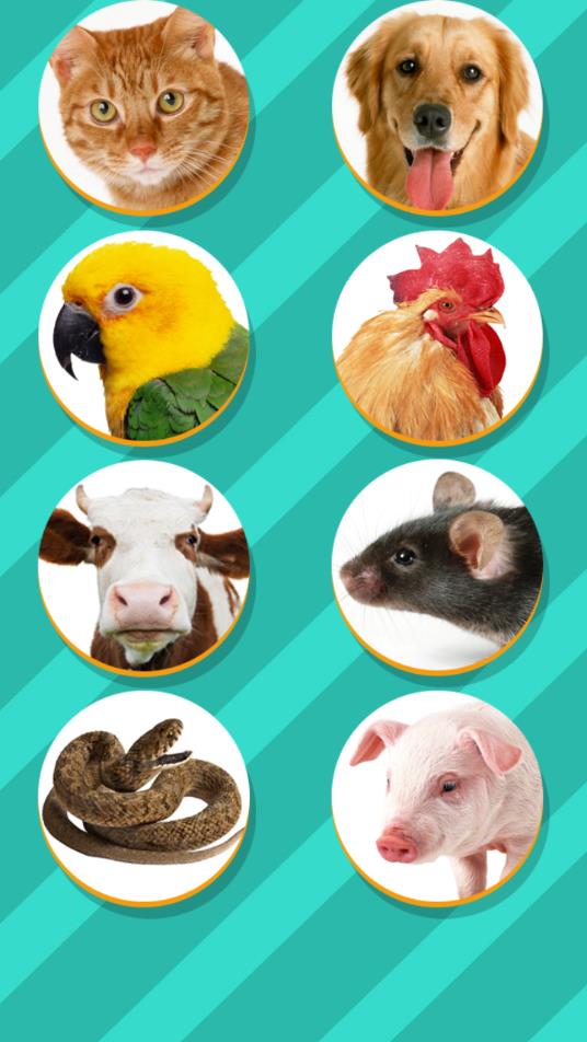 鸟语翻译器app最新版下载(Pet Translator)