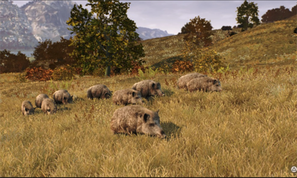 猎人之路狂野欧洲免谷歌全DLC版