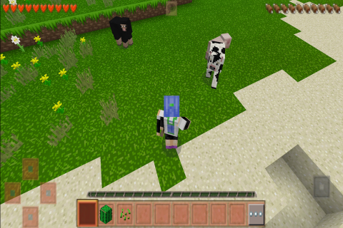 生存战争2.4插件版